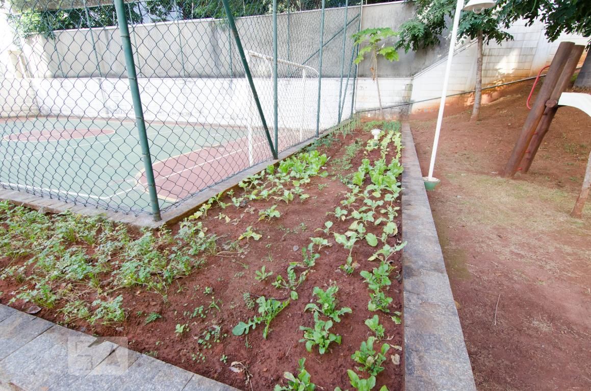 Apartamento à Venda - Mansões Santo Antônio, 3 Quartos,  70 m2 em , Campinas - sp | SoloBR