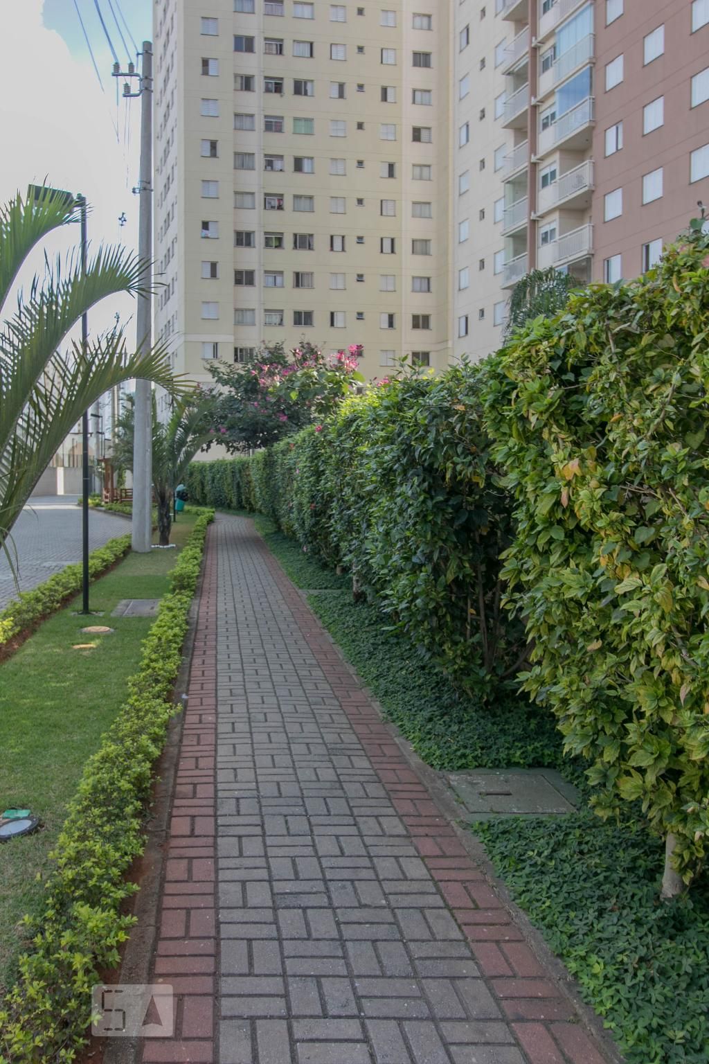 Apartamento, 2 quartos, 44 m² - Foto 19