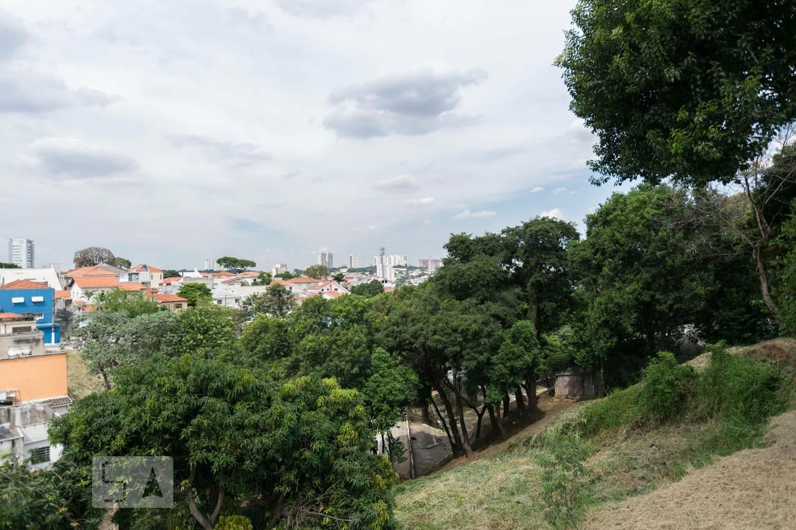 Casa, 4 quartos, 230 m² - Foto 21