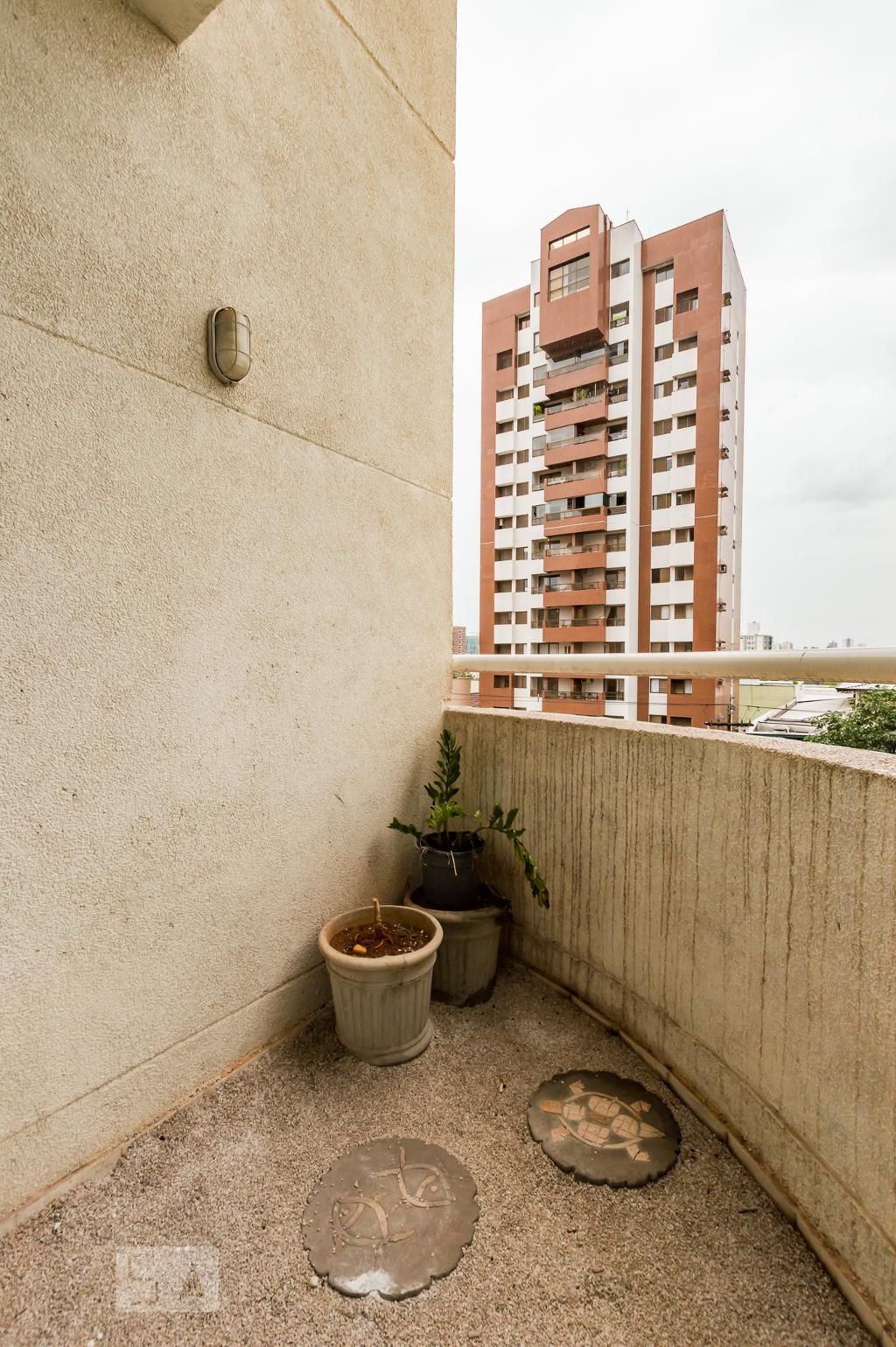 Apartamento à Venda - Cambuí, 1 Quarto,  56 m2 em , Campinas - sp | SoloBR