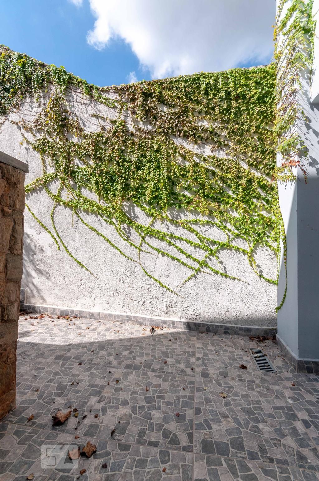 Casa à Venda - Vila Brandina, 4 Quartos,  300 m2 em , Campinas - sp | SoloBR