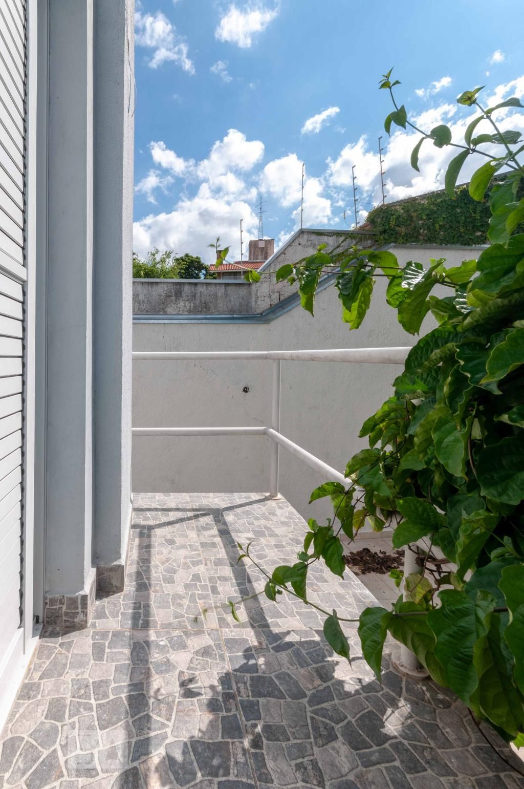 Casa à Venda - Vila Brandina, 4 Quartos,  300 m2 em , Campinas - sp | SoloBR