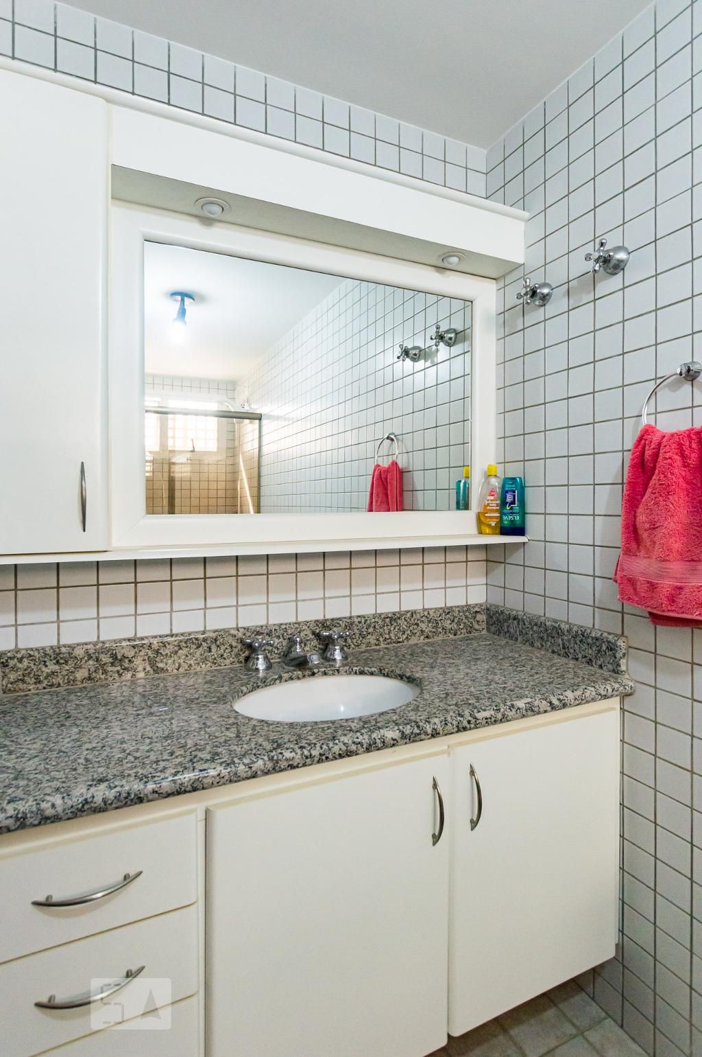 Apartamento à Venda - Jardim Flamboyant, 3 Quartos,  505 m2 em , Campinas - sp | SoloBR