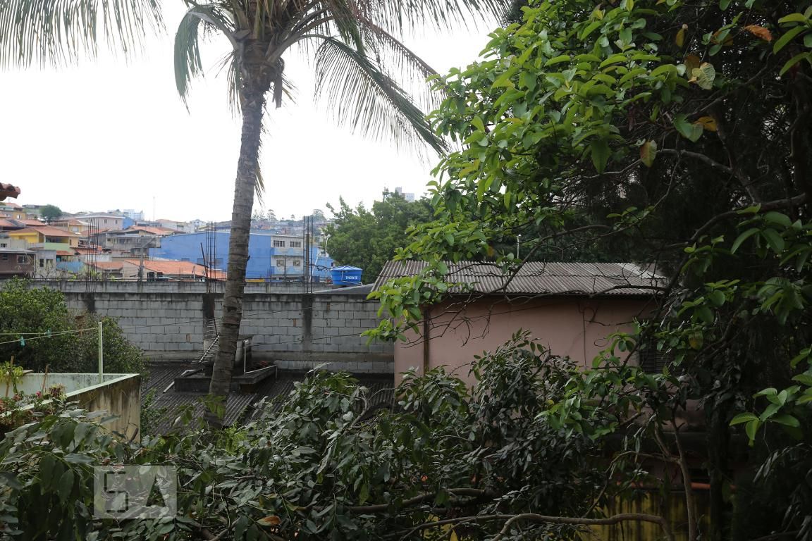 Casa, 4 quartos, 255 m² - Foto 23