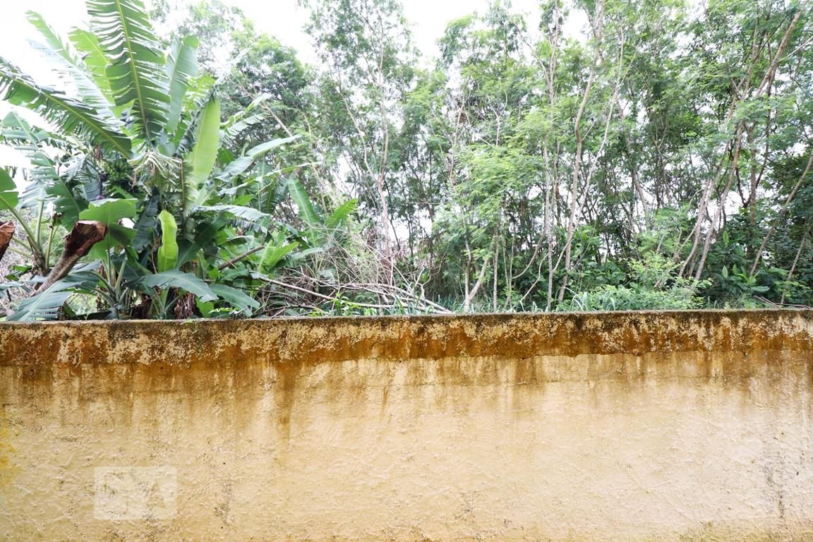 Casa, 3 quartos, 500 m² - Foto 10