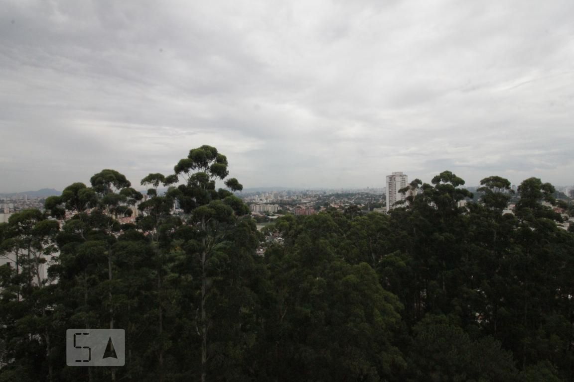 Apartamento, 4 quartos, 520 m² - Foto 12