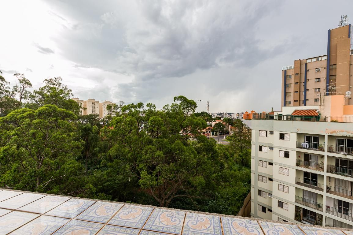 Apartamento à Venda - Jardim Flamboyant, 4 Quartos,  238 m2 em , Campinas - sp | SoloBR