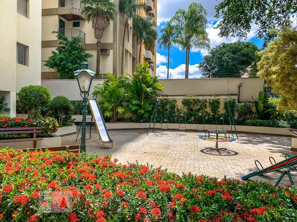 Apartamento à Venda - Cambuí, 3 Quartos,  115 m2 em , Campinas - sp | SoloBR