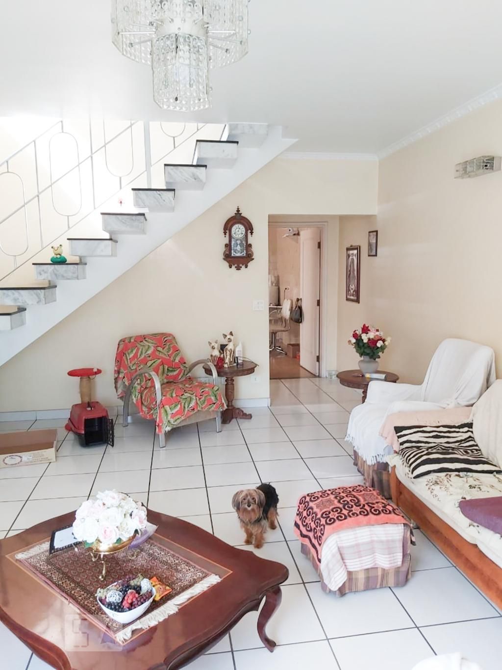 Casa, 4 quartos, 250 m² - Foto 18
