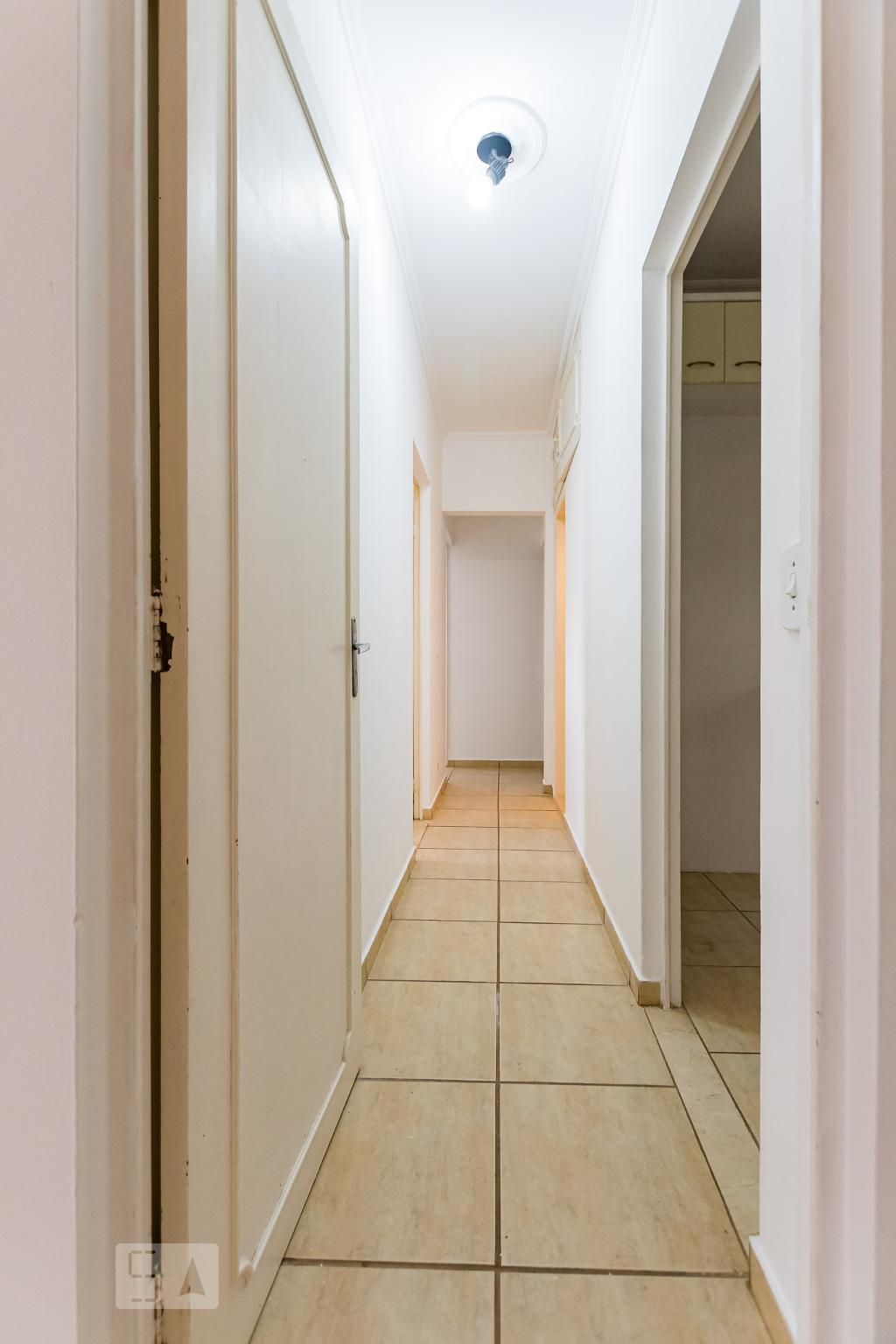 Apartamento à Venda - Jardim Flamboyant, 3 Quartos,  75 m2 em , Campinas - sp | SoloBR