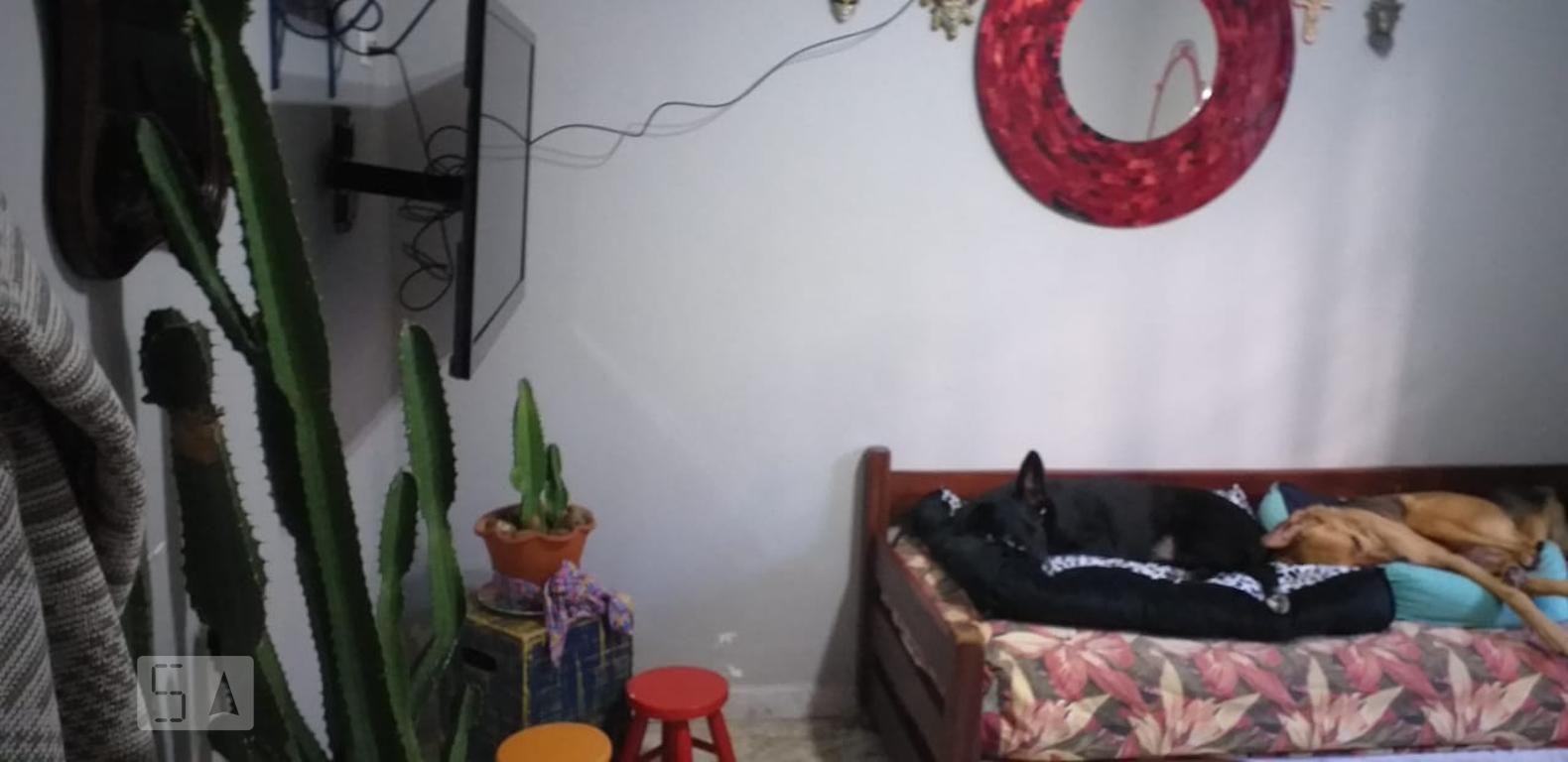 Casa de Condomínio, 2 quartos - Foto 7