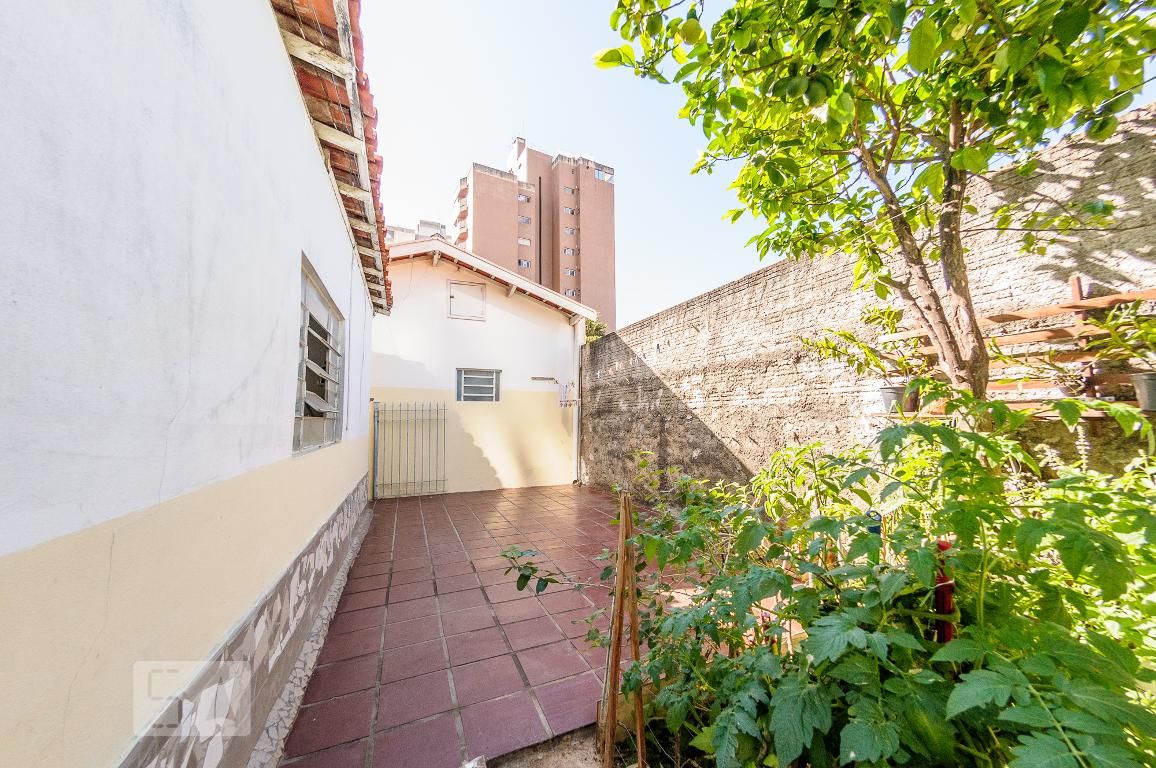 Casa à Venda - Bosque, 3 Quartos,  316 m2 em , Campinas - sp | SoloBR