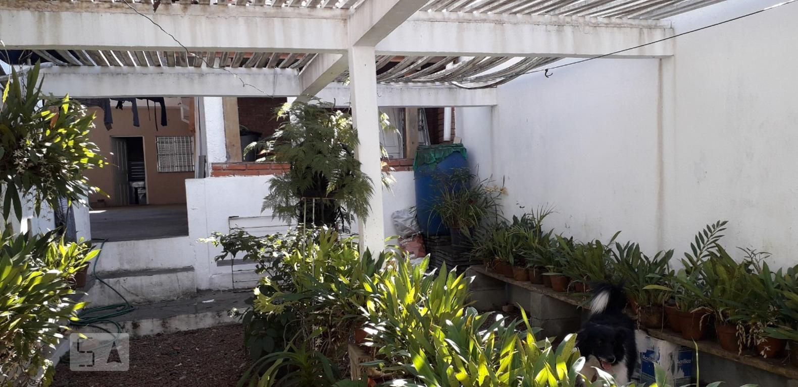 Casa, 3 quartos, 620 m² - Foto 3