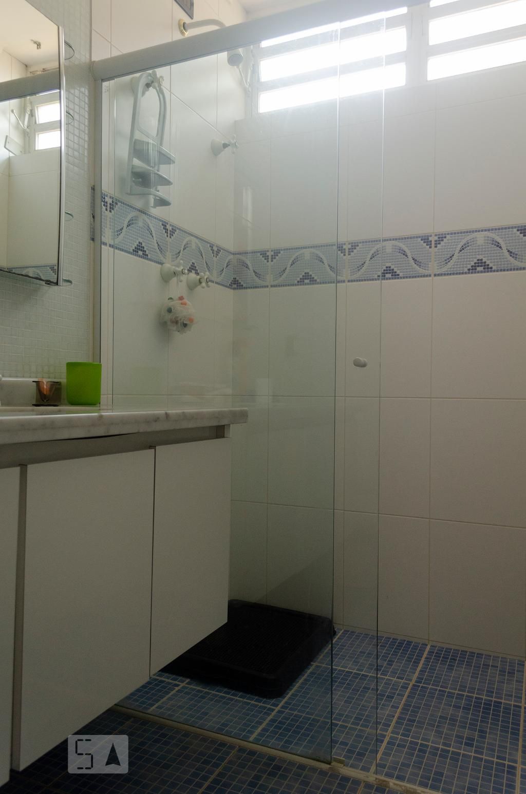Casa, 4 quartos, 550 m² - Foto 51
