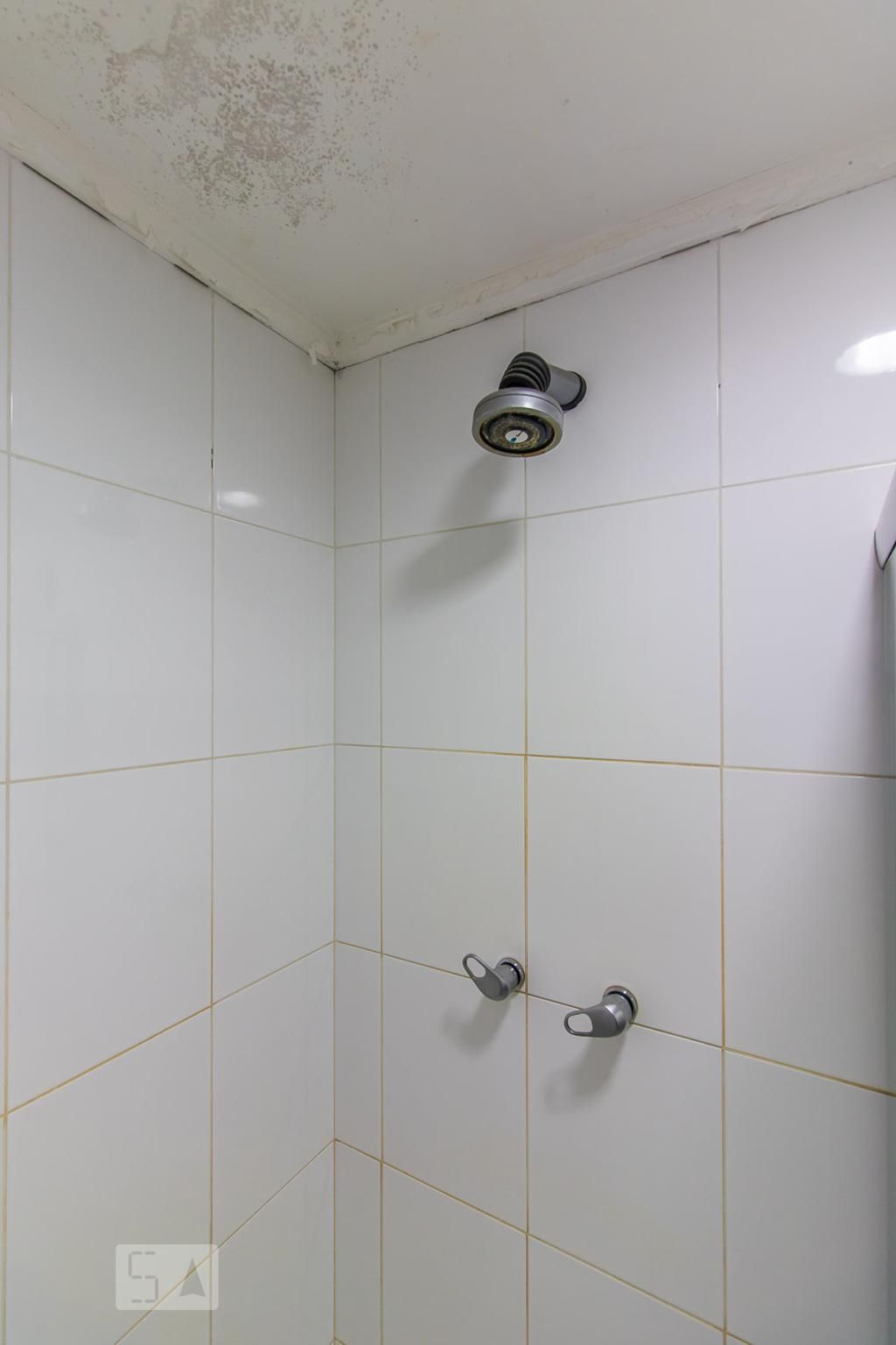 Apartamento, 4 quartos, 260 m² - Foto 37