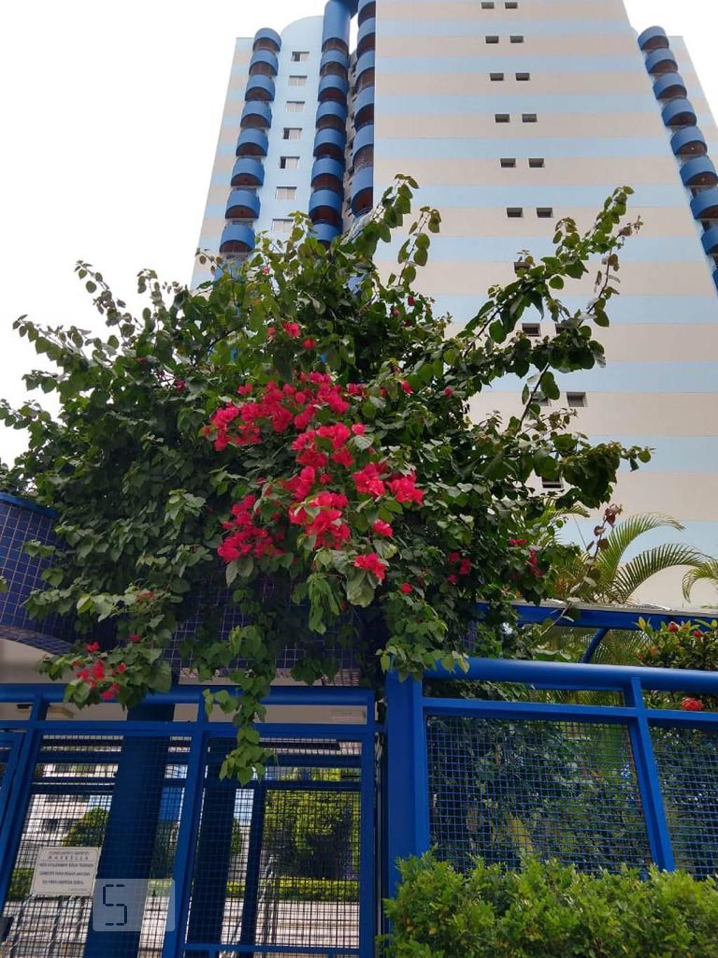 Apartamento, 2 quartos, 61 m² - Foto 9