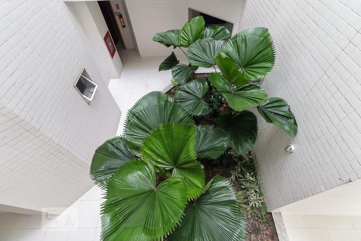 Apartamento, 3 quartos, 185 m² - Foto 35