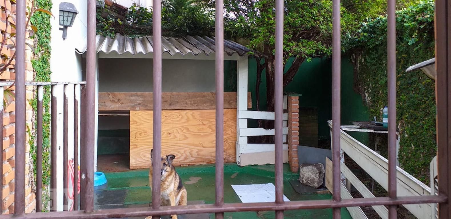 Casa, 6 quartos, 360 m² - Foto 41