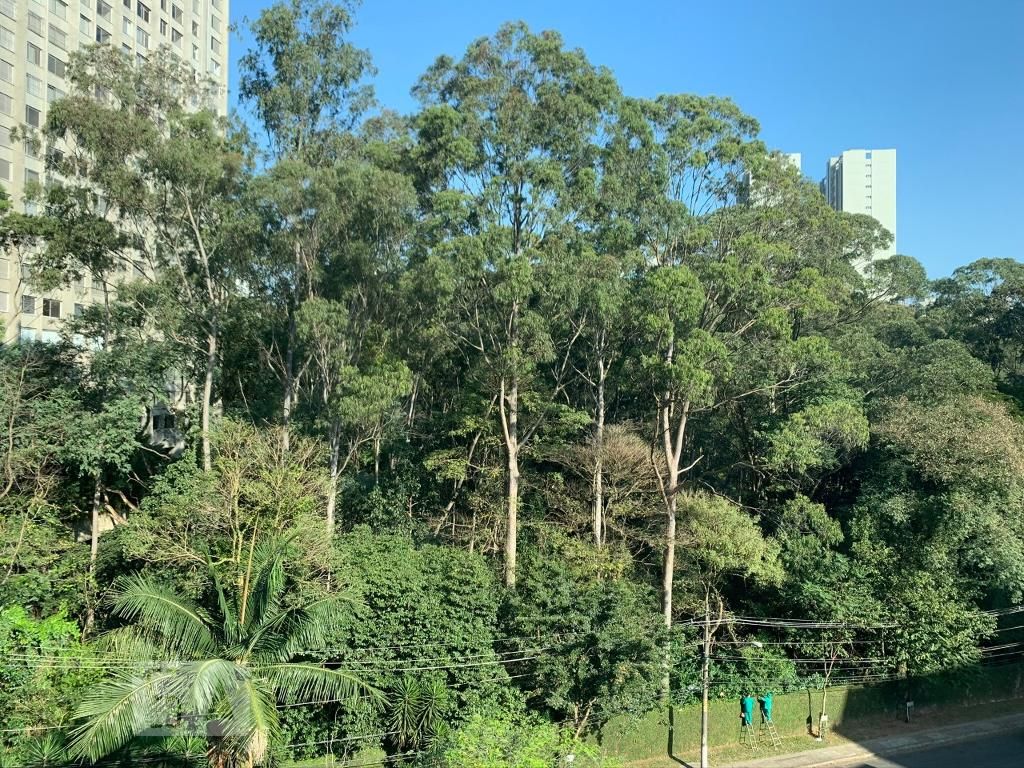 Apartamento, 3 quartos, 220 m² - Foto 14
