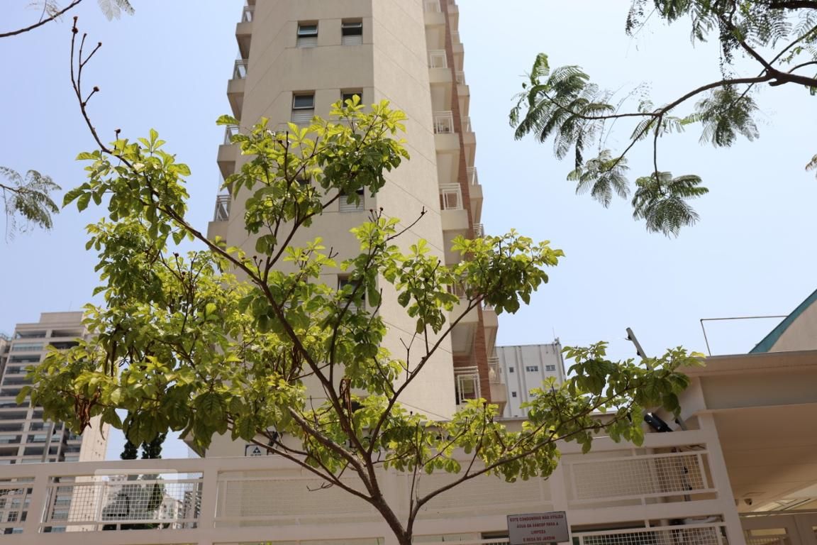 Apartamento, 2 quartos, 60 m² - Foto 70
