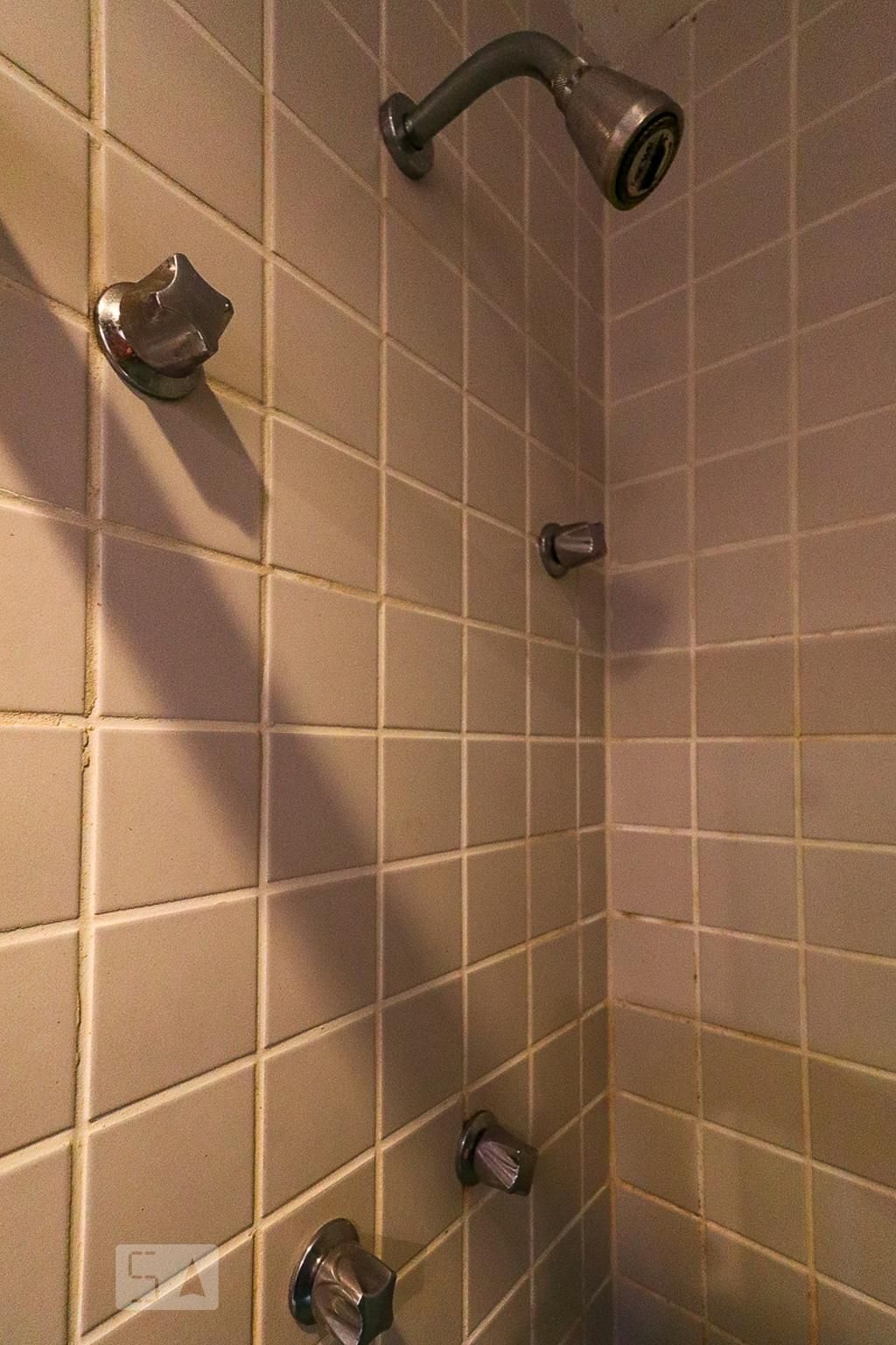 Cobertura, 5 quartos, 420 m² - Foto 44