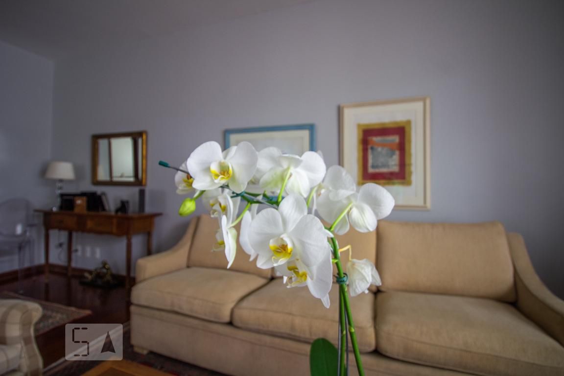 Casa, 3 quartos, 256 m² - Foto 6