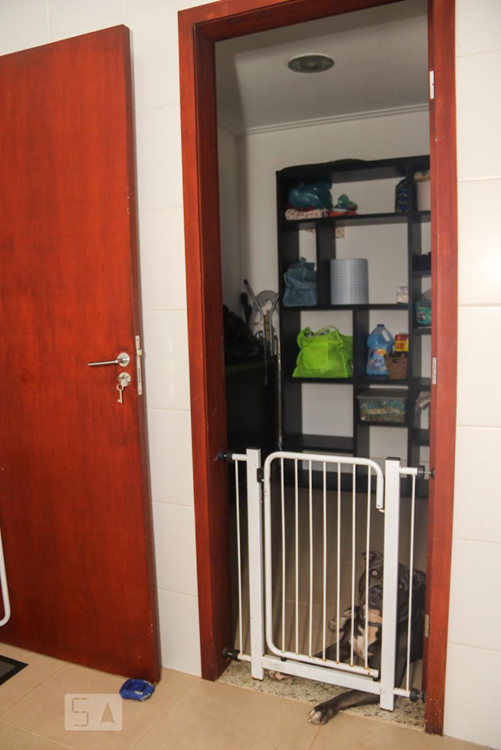 Casa, 4 quartos, 260 m² - Foto 81
