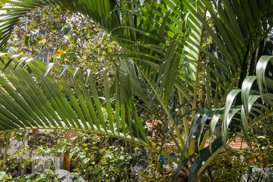 Casa, 4 quartos, 385 m² - Foto 17