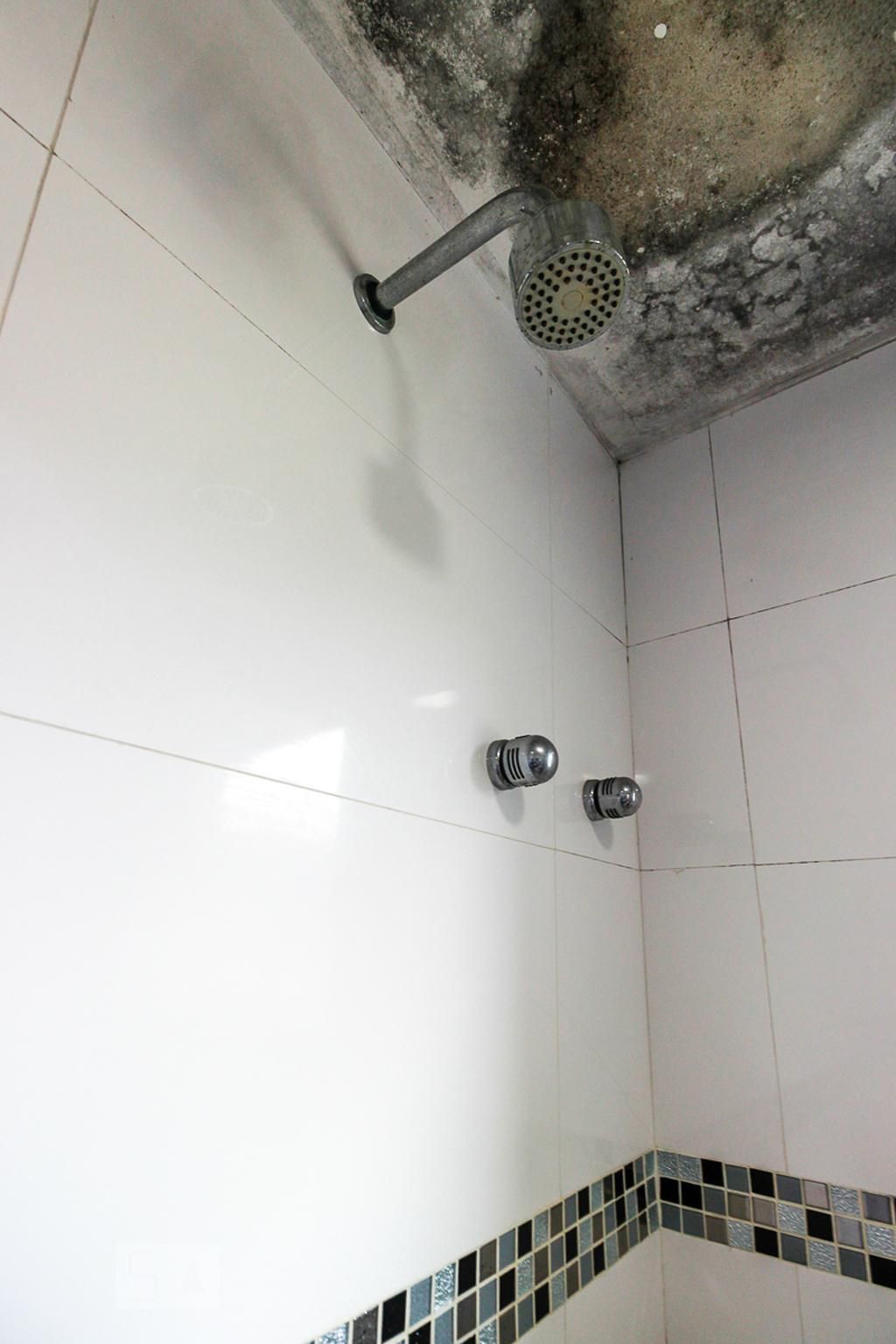 Casa, 3 quartos, 220 m² - Foto 32