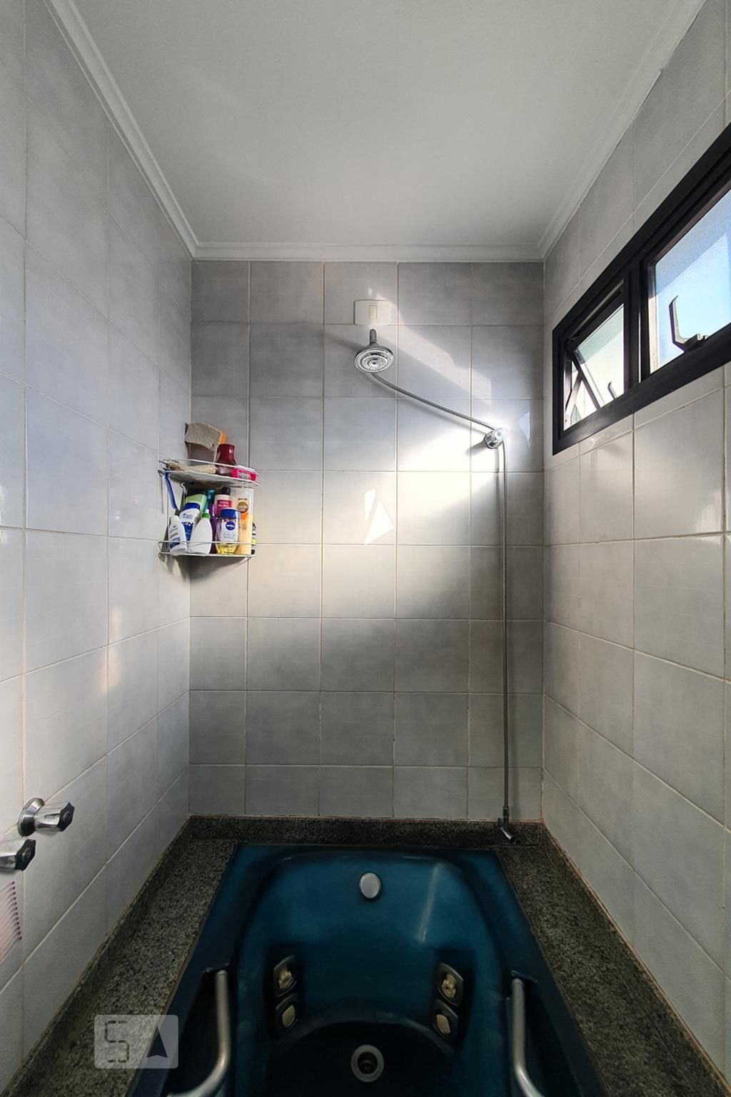 Apartamento, 4 quartos, 245 m² - Foto 11