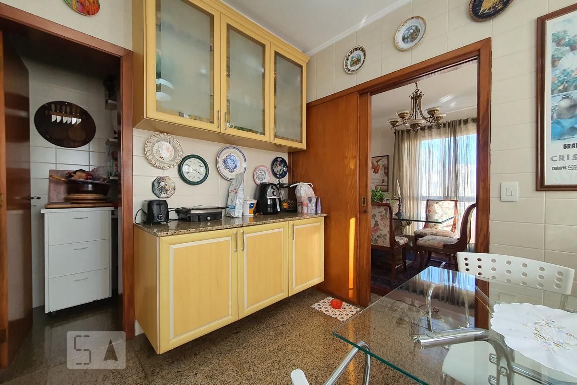 Apartamento, 4 quartos, 245 m² - Foto 42