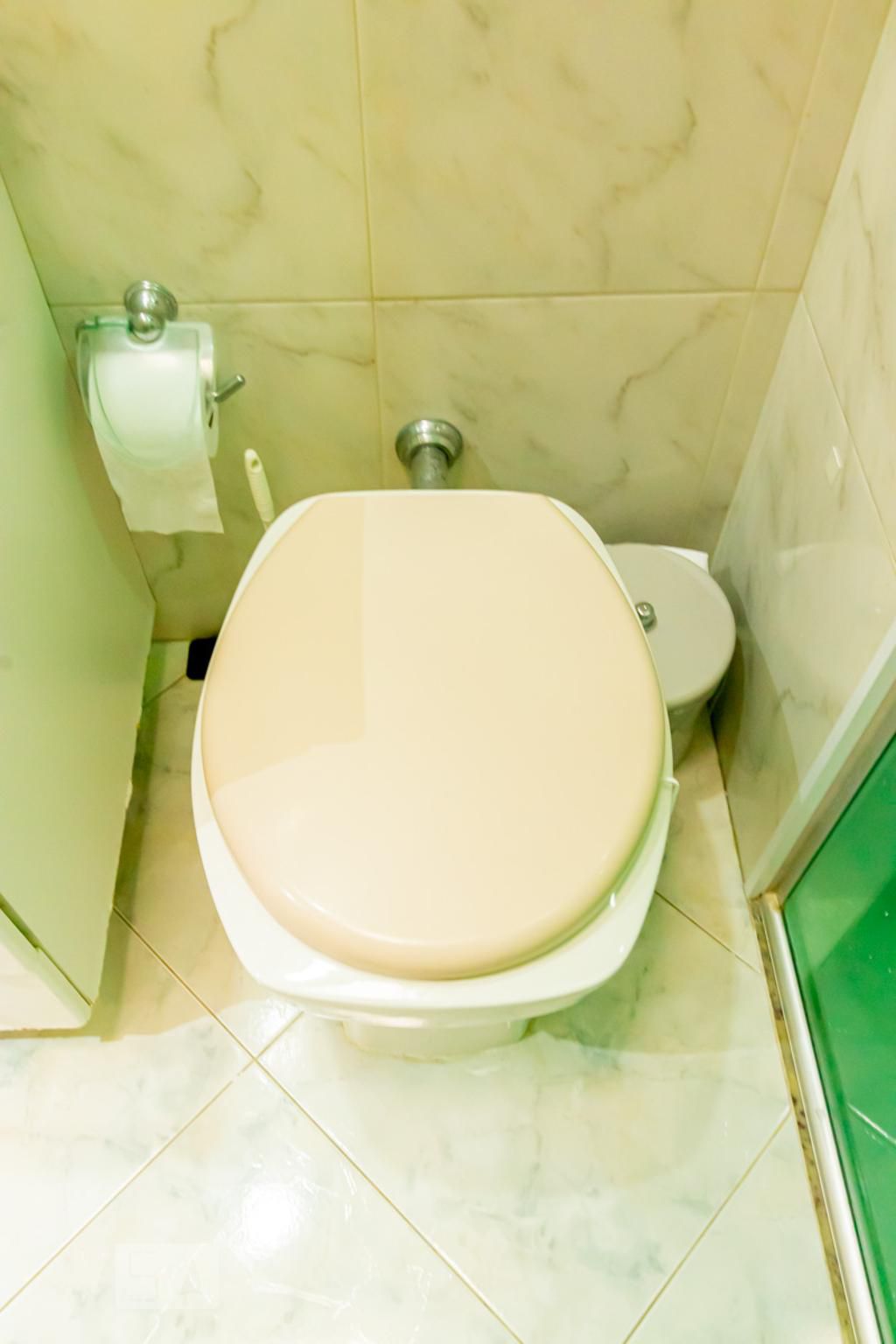 Casa, 6 quartos, 166 m² - Foto 55