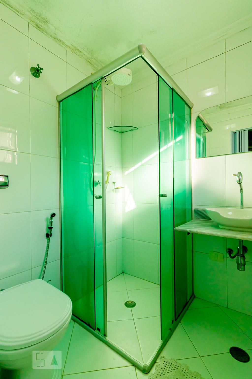 Casa, 6 quartos, 166 m² - Foto 31