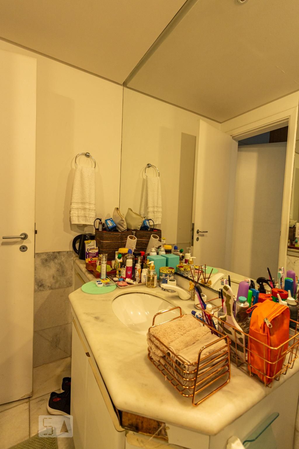 Apartamento, 3 quartos, 250 m² - Foto 48