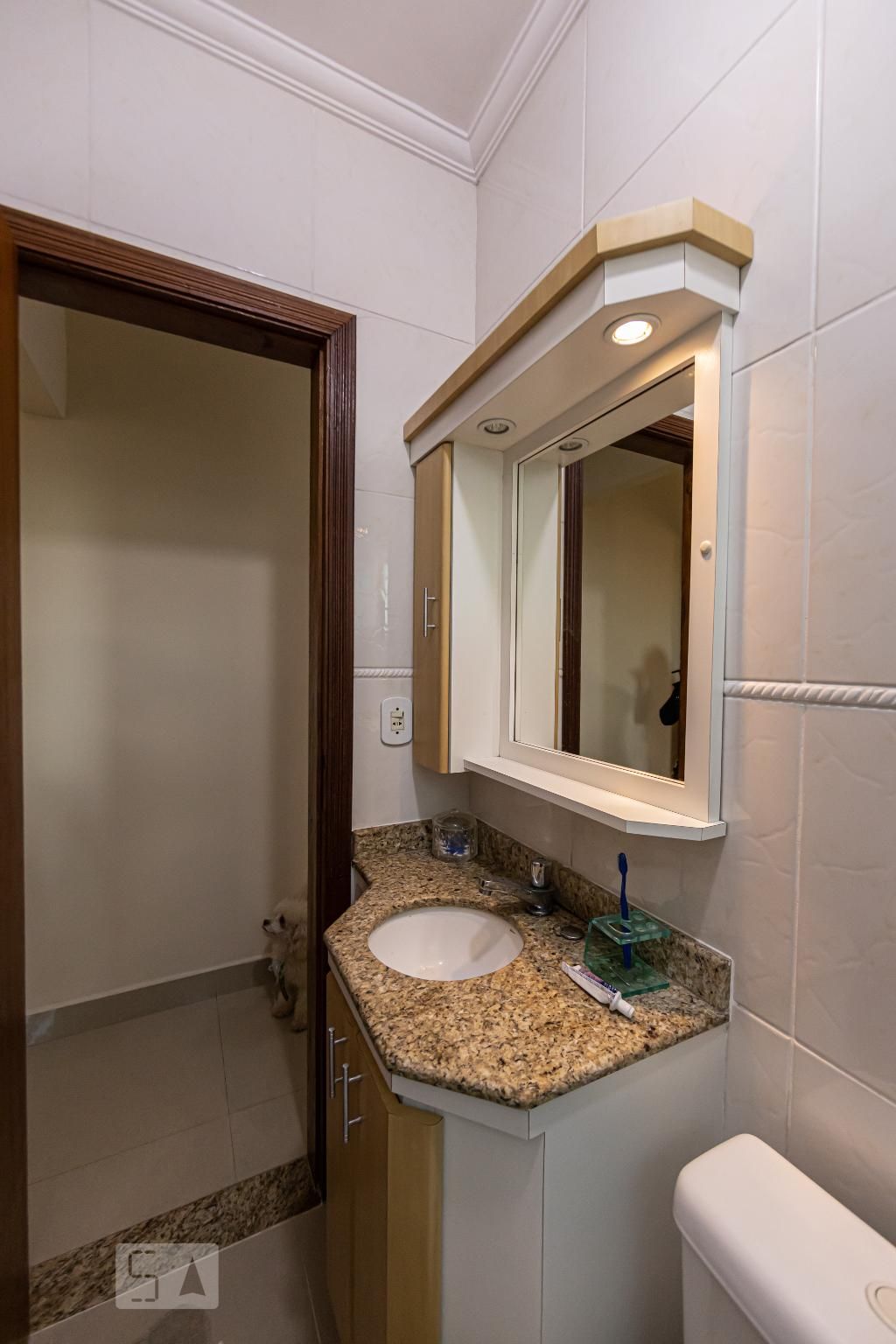Casa, 3 quartos, 217 m² - Foto 29
