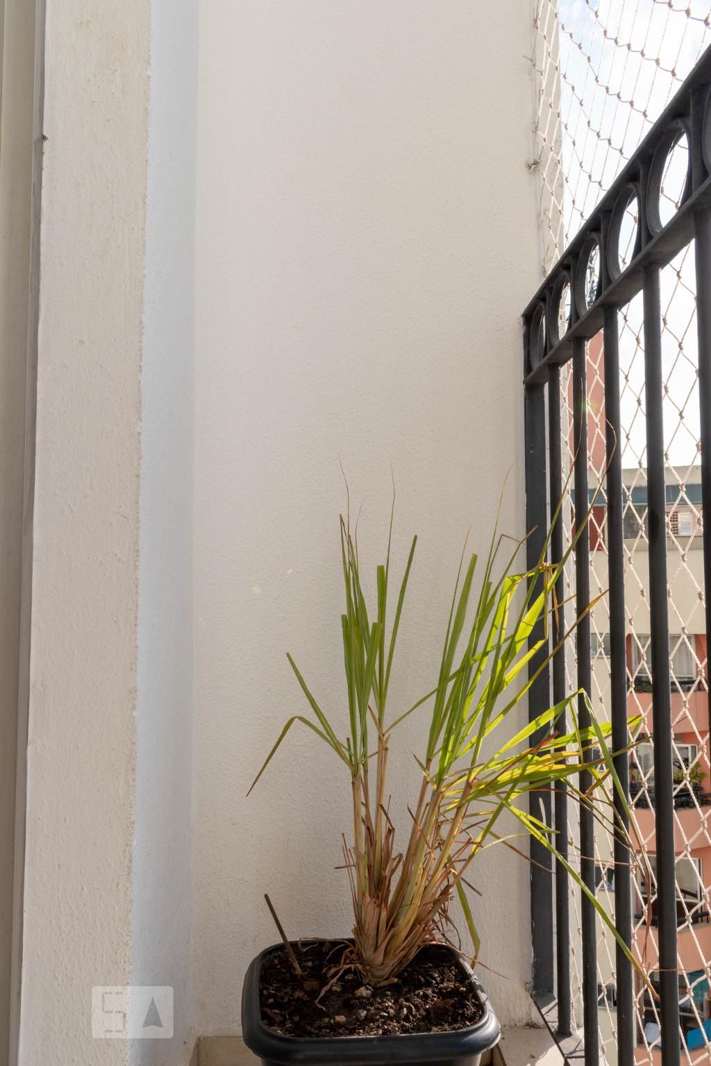 Apartamento, 3 quartos, 69 m² - Foto 7