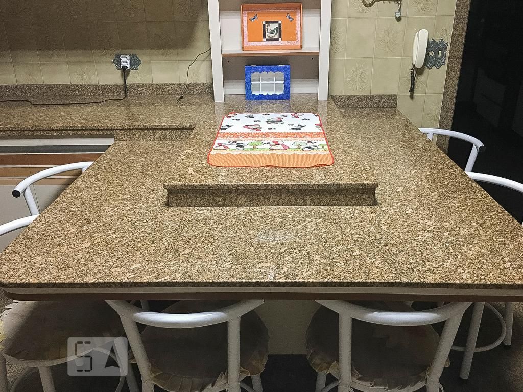 Casa, 4 quartos, 250 m² - Foto 10