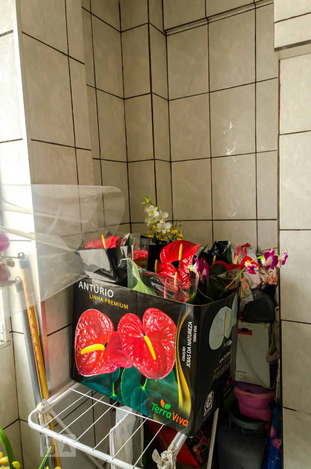 Apartamento, 1 quarto, 91 m² - Foto 34