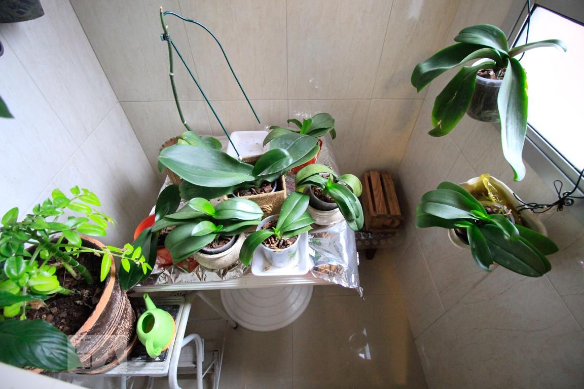 Apartamento, 4 quartos, 136 m² - Foto 50
