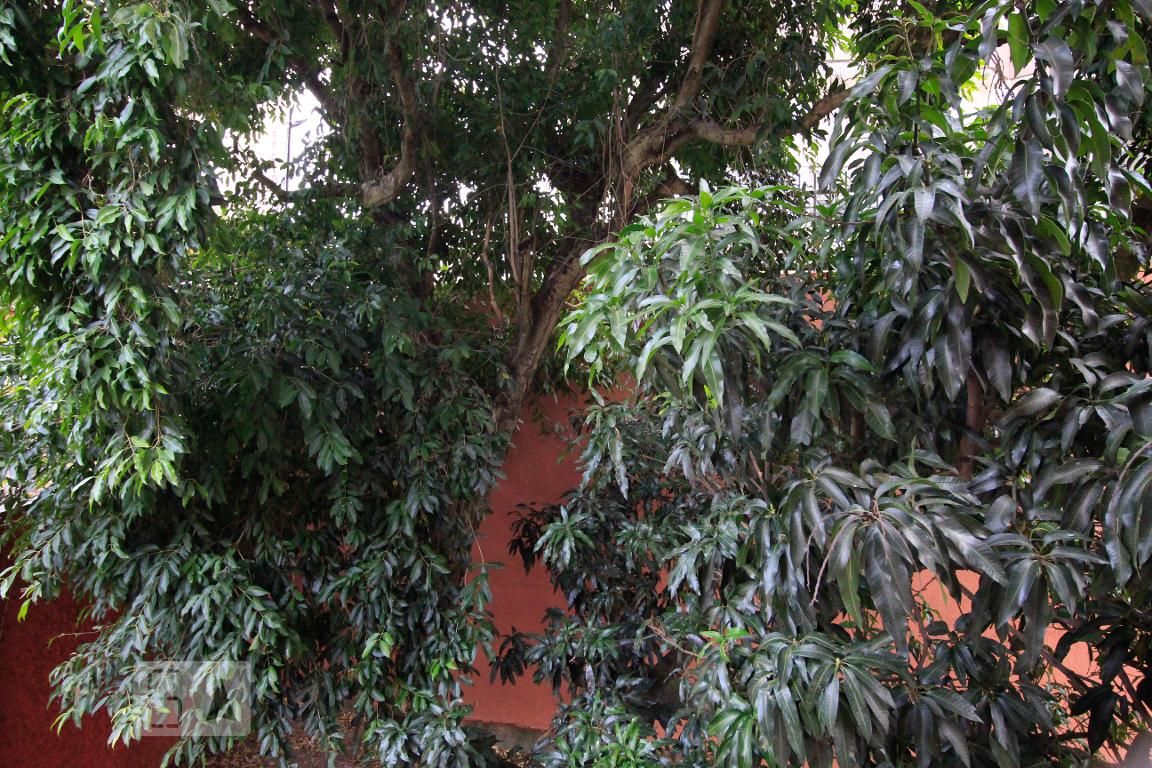 Apartamento, 4 quartos, 136 m² - Foto 37