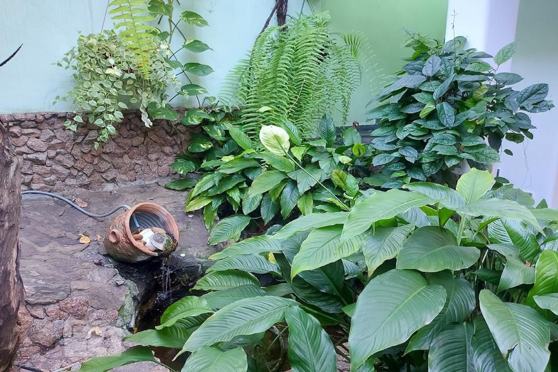 Casa, 6 quartos, 514 m² - Foto 125