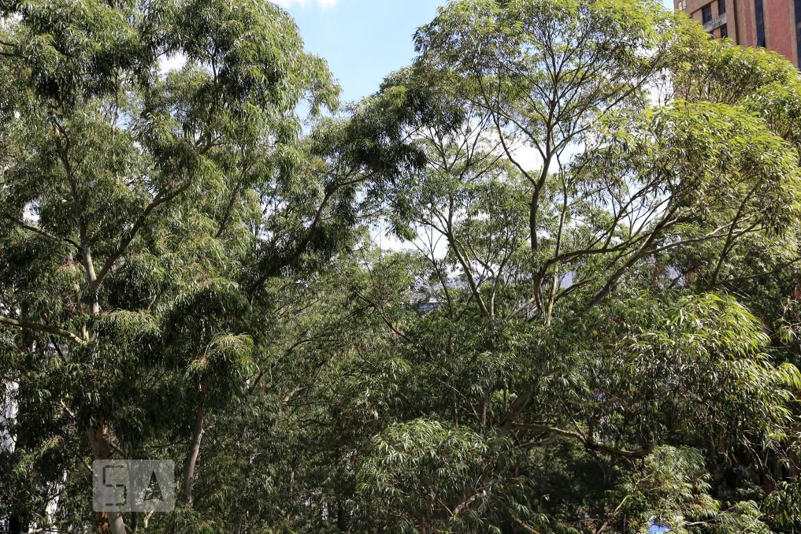 Apartamento, 1 quarto, 90 m² - Foto 12