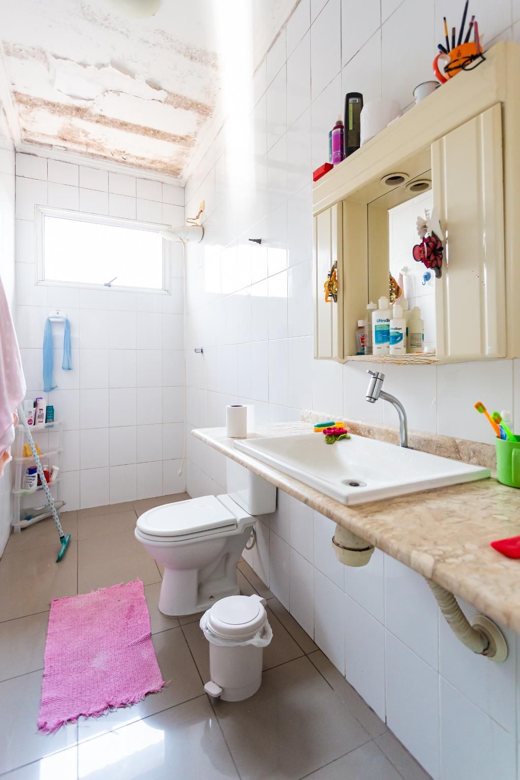 Casa, 4 quartos, 510 m² - Foto 43