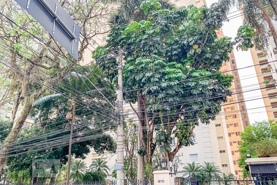Apartamento à Venda - Cambuí, 3 Quartos,  115 m2 em , Campinas - sp | SoloBR
